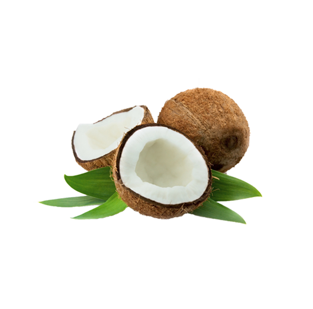 Coconut Thenarasu
