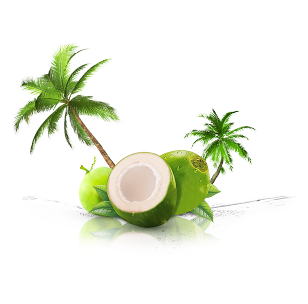 Thenarasu Tender Coconut