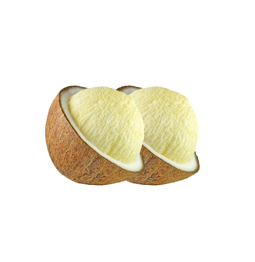 Coconut Haustorium Thenarasu