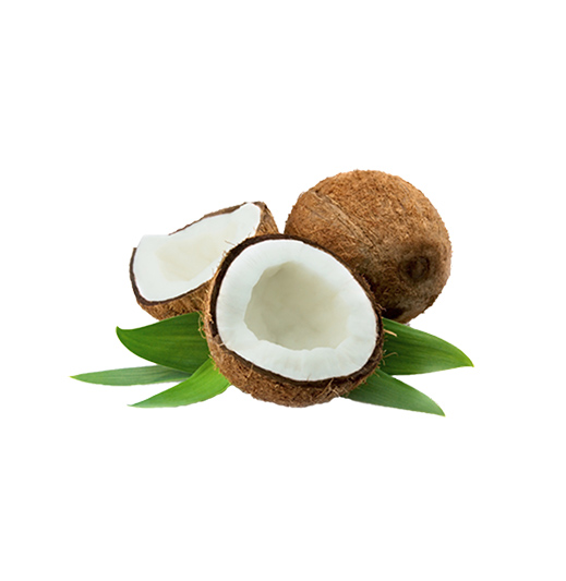 Thenarasu Coconut