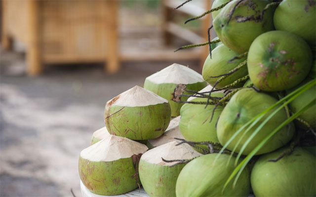 Thenarasu Tender Coconut