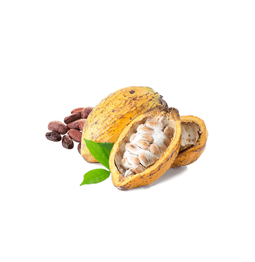 Thenarasu Cocoa Bean