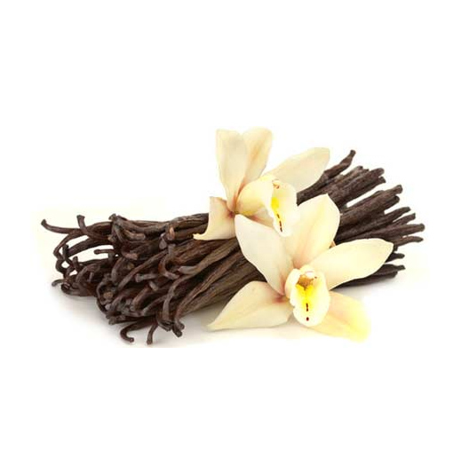 Vanilla Bean Thenarasu Organics